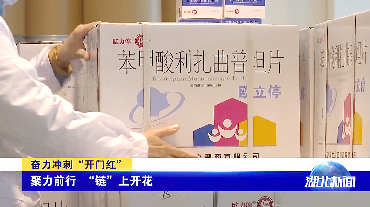 科技创新!湖北卫视对我司进行报道